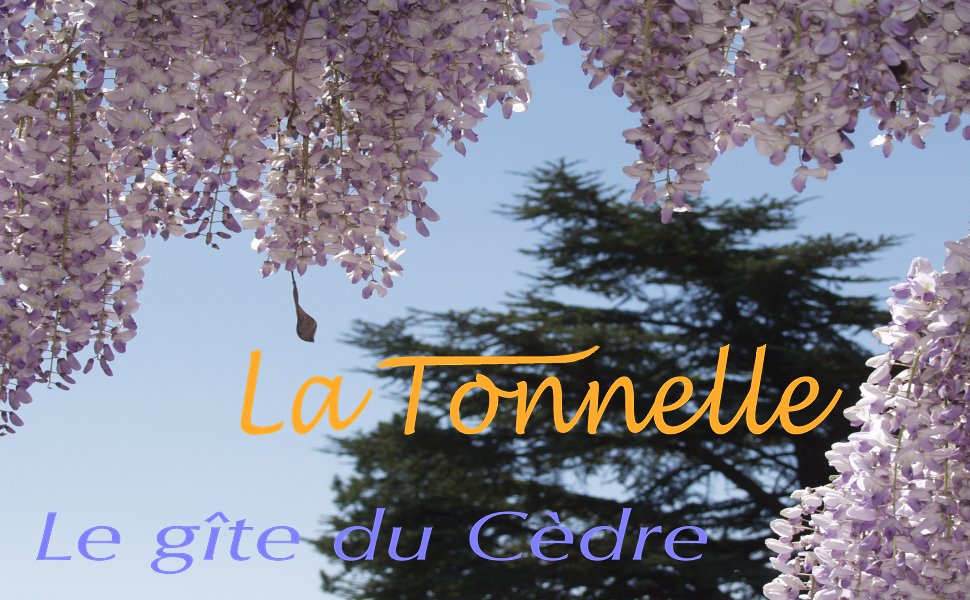La Glycine-Tonnelle sur la terrasse